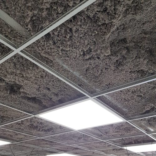 Salas de Clases USACH feb-2019